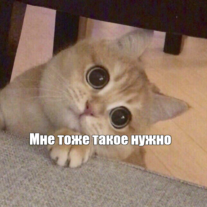 next